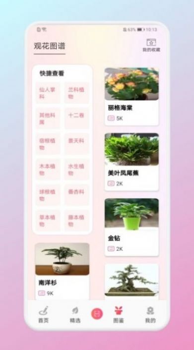 养花大掌柜 v1.4图