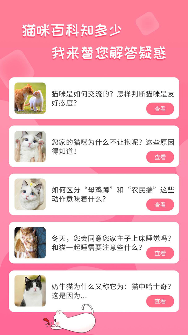 人猫翻译神器图