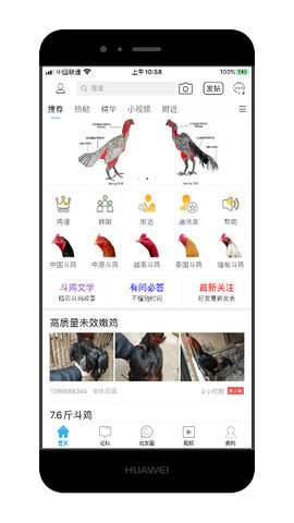 中国斗鸡论坛 v2.6.9图