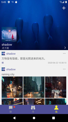 樔交友app v1.0图