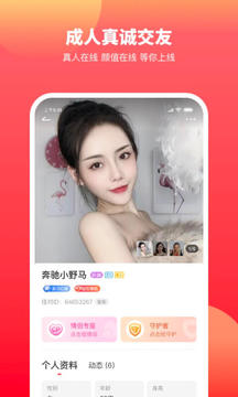 佳对交友 v2.8.6.1021图