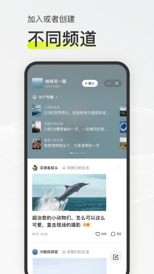 迷岛 v1.0.0图