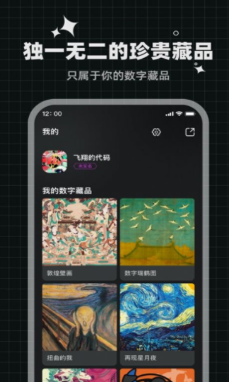 灵龙数藏 v1.0图