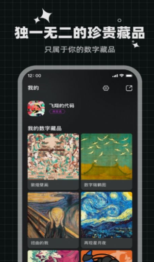 灵龙数藏 v1.0图