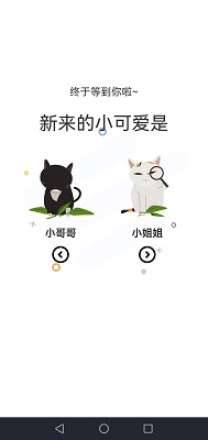 猫上漫画图