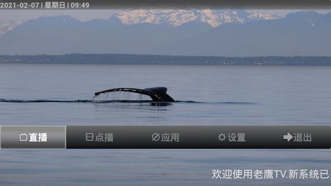 老鹰TV正式版 v2.0.48.0图