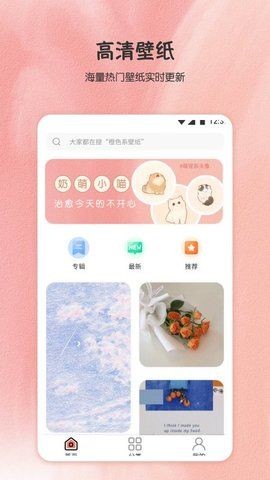 小王壁纸 v1.00图