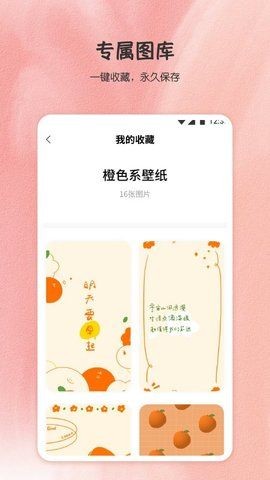 小王壁纸 v1.00图