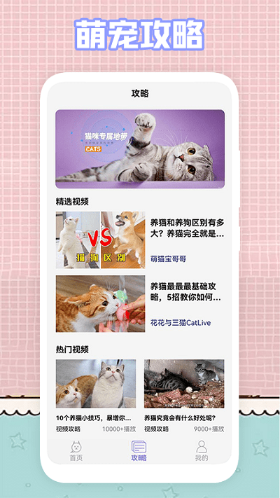 我的猫咪壁纸 v1.1图