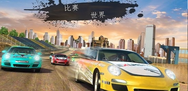 拉力赛狂怒3D v1.0.4图