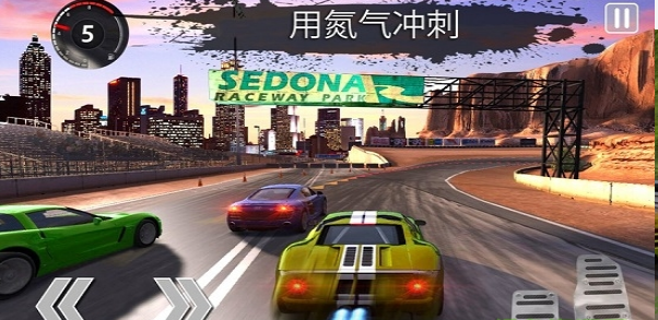 拉力赛狂怒3D v1.0.4图